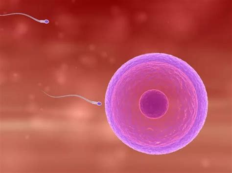 Six Facts About Semen They Didnt Tell You In Sex Education Mirror Online