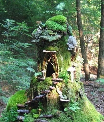 70 Best Images About Tree Stump Ideas On Pinterest Gardens Planters