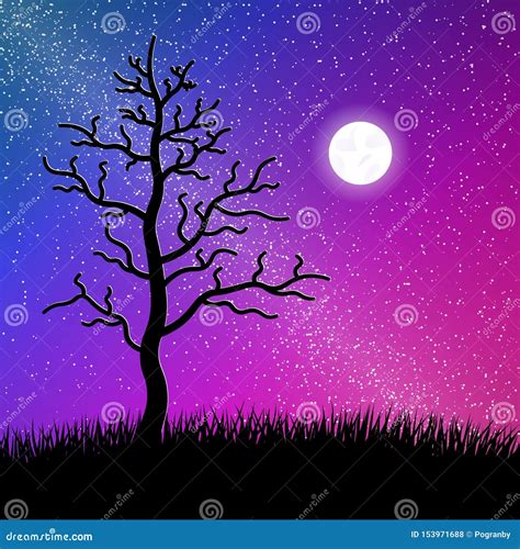 Night Starry Sky With Tree And Grass Silhouette Stock Vector