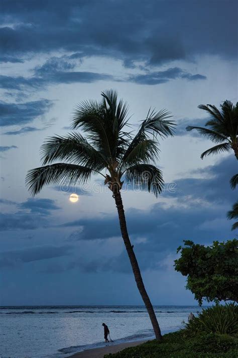 Somber Moonset On Maui On A Beach On Maui Stock Image Image Of