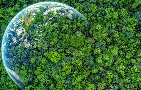 Earth greening affects carbon uptake by plants - Earth.com