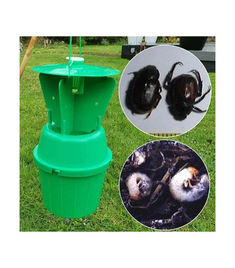 Adult Chafer Beetle Trap Including Lure