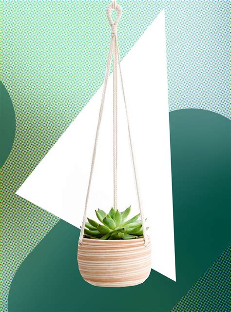 These Hanging Planters Will Actually Breathe Life Into Your Home