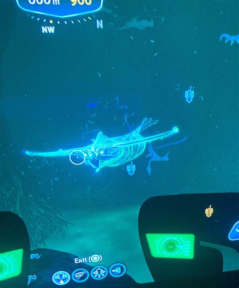 This is the most aggressive young ghost leviathan I’ve ever see : r