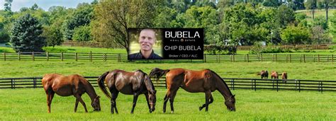 Flatonia Texas Relocation Guide - Explore Texas