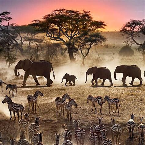 Incredible Image Captures A Watering Hole In Africa From Day To Night