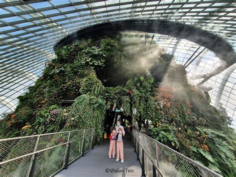 Taking Kids To Cloud Forest At Gardens By The Bay Here Are 10 Must Knows
