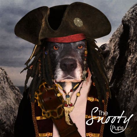 Pirate Dog Portrait Dog In Costume