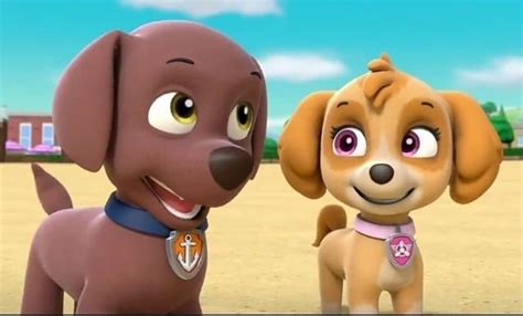 Instagram 上的 Your Best Pupfriend 🧡🐾：「 Me And Skye 」 Zuma Paw Patrol