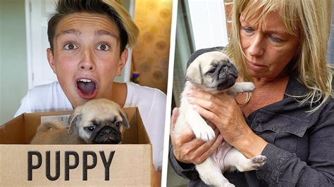 Surprising Morgz With New Puppy He Cried Not Cli Doovi