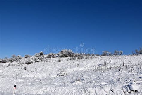 Winter Landscape Snow In The Forest And Clearing Stock Image Image