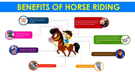 Benefits Of Horse Riding Visually