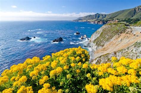 Tickets And Tours 17 Mile Drive Monterey And Carmel Viator