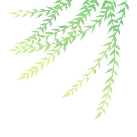 Willow Png Transparent Willow Branch Theme Floating Willow Branch
