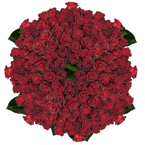 When autocomplete results are available use up and down arrows to review and enter to select. Buy Black Roses | GlobalRose