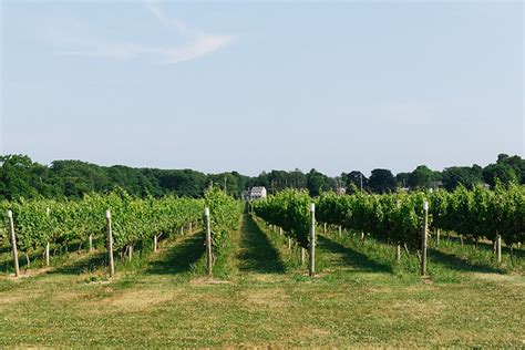 The Best North Fork Wineries 9 Great Vineyards To Visit Heading Out
