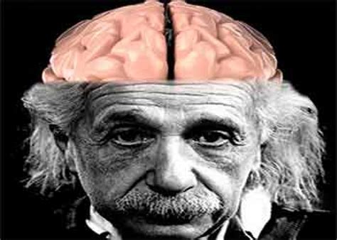 Intelligent Peoples Brains Wired Differently