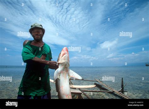 Shark Caller New Ireland Hi Res Stock Photography And Images Alamy