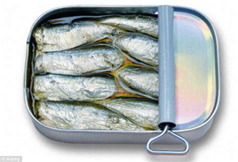 Sardine Tin With Built In Opener Another Not So Easy As It Looks