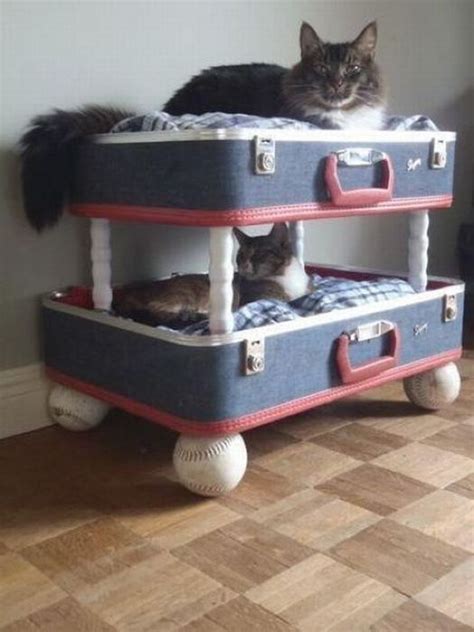 Cat Bunk Beds