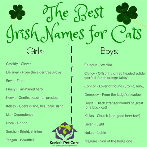 7 nerdy cat names from tv & movies. Top 10 Irish Cat Names | Karla's Pet Care in Elk Grove, CA