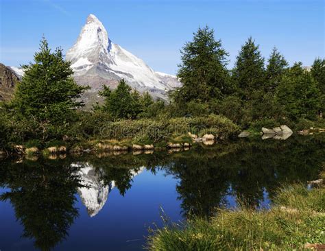 Matterhorn Reflection In Riffelsee With Flowers Zermatt Alps Stock