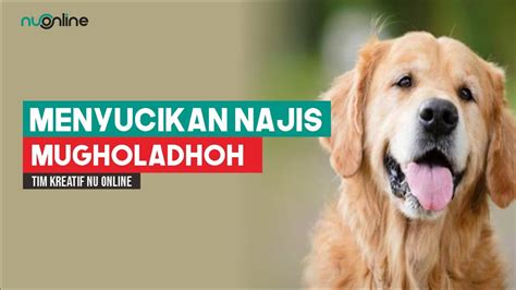 Check spelling or type a new query. Tafsir Mimpi Terkena Najis Anjing / Arti mimpi anjing ...