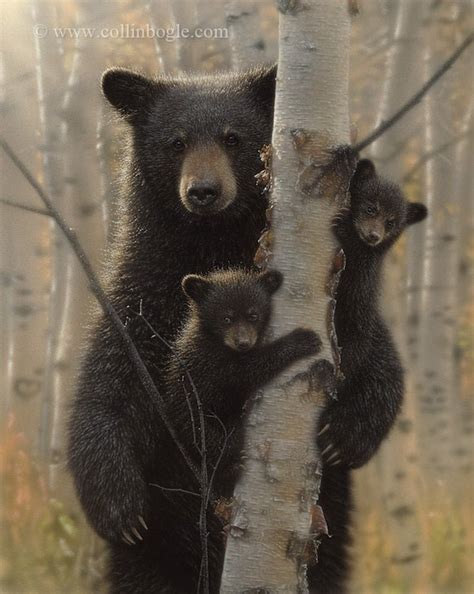 Black Bear Painting Bear Art Print Bear Cubs Mother And Baby Etsy