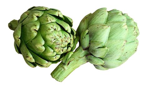 Artichoke Png Image Purepng Free Transparent Cc0 Png Image Library