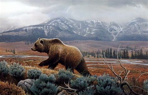Jerry Gadamus Yellowstone Mist Grizzly Bear Paintings Bear Art