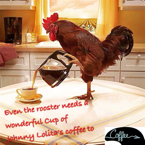 Even The Rooster Knows Where To Go For A Good Cup Of Coffee