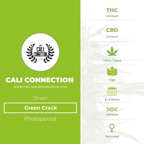 Green Crack Cali Connection The Cannabis Seedbank