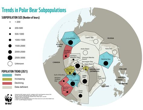 Polar Bear Population Wwf Arctic