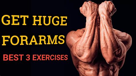 3 Best Exercise Get Huge Forearms Youtube