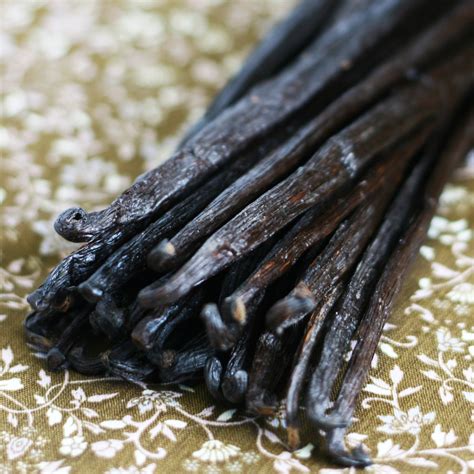 Vanilla Beans The Silk Road Spice Merchant