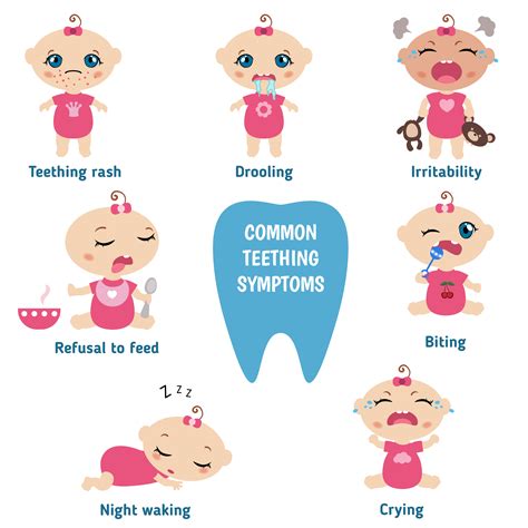 One of the baby teething symptoms is a fever. When Do Babies Start Teething | Baby Now Brand