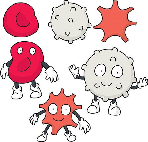 30 Best Ideas For Coloring Blood Cells Cartoon