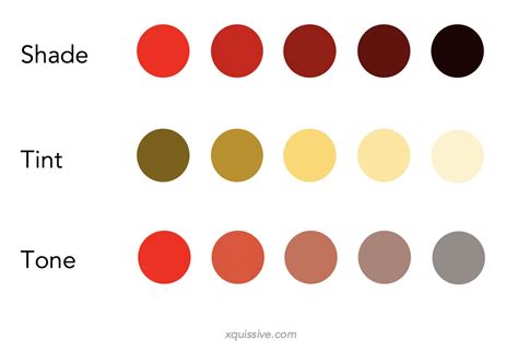 The Ultimate Guide To Colour Theory In Design Xquissive