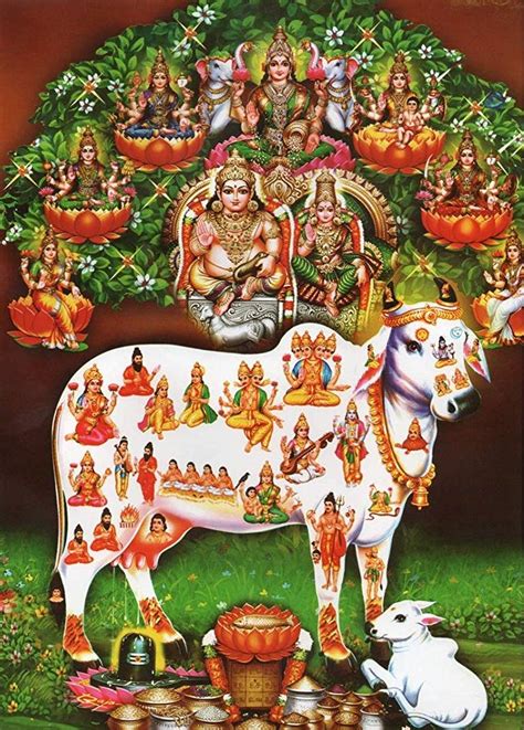 🙏gomatha Cow Puja🙏 Lord Shiva Painting Lakshmi Images Lord Shiva
