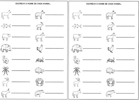 Nomes De Animais Com 4 Sílabas