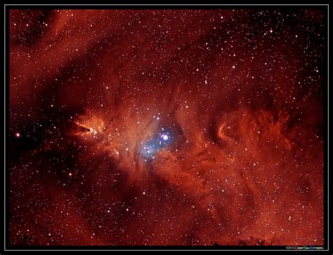 Ngc2264 Christmas Tree Cluster Cone And Fox Fur Nebulae Nebula