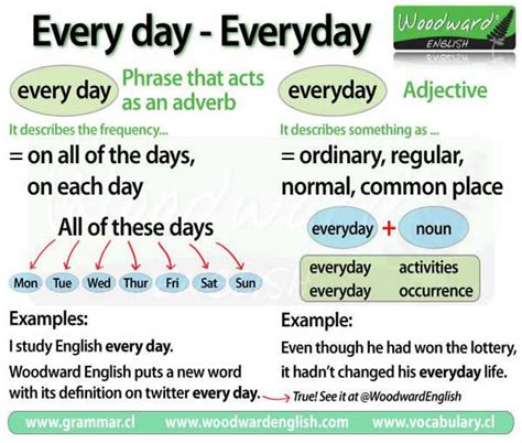 Uses of 'Every day' and 'All day' - English Learn Site