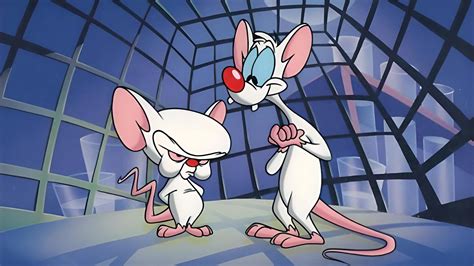 Pinky And The Brain Wallpapers And Backgrounds K HD Dual Screen