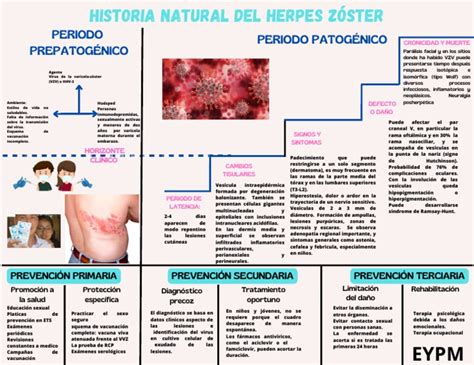 Historia Natural Del Herpes Zoster Pdf