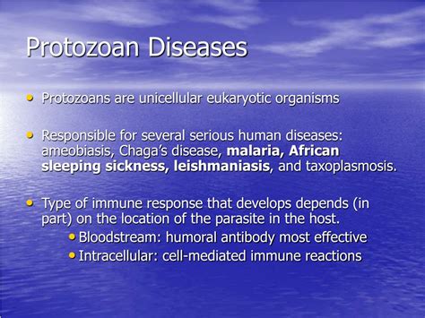 Ppt Protozoan Diseases Powerpoint Presentation Free Download Id 9244296