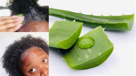 Aloe Vera Treatment For Hair Growth Glow With D Youtube