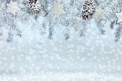 Winter Background With Snowy Christmas Tree Branch Decorated With
