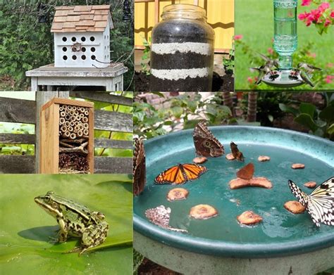 I have to admit… out of all the gardens i've done this is. 10 Cool Ways To Attract Endless Wildlife To Your Backyard!
