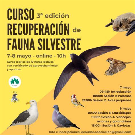 3ª Edición Curso Recuperación De Fauna Silvestre Ecourbe