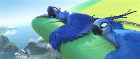 Endangered Parrot That Inspired Rio Dies Popoptiq